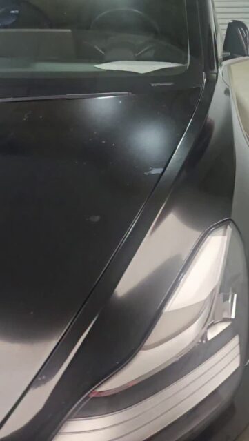When you shop for the cheapest price, you get exactly what you shopped for CHEAP.

Premium XPEL Paint Protection Film might be a few hundreds more but it lasts for 10-years, doesn't fade and definitely doesn't end up looking like this 🤣😅

DoubleTake Auto Spa in Fremont 
Certified Xpel Center 
Call/Text Us: 510-472-4181 
Email Us: info@dtautospa.com 
Website: www.dtautospaprotection.com 

#teslajuniper #Tesla3 #teslahighland #teslaperformance #newcarprotection