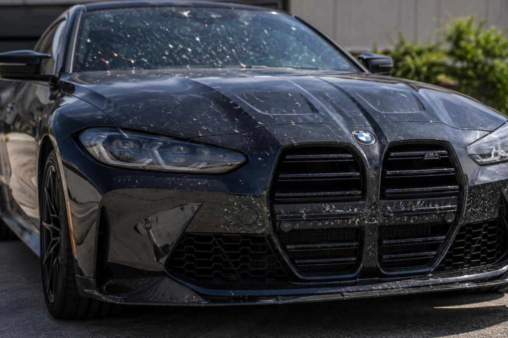 Protect your Paint Before Summer Trips