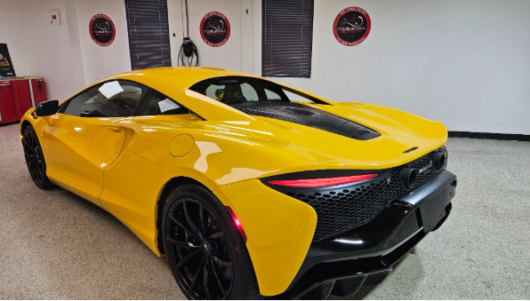 New car paint protection